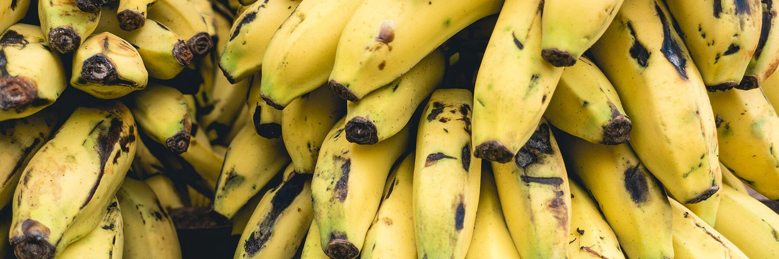 How Much Protein is in a Banana?