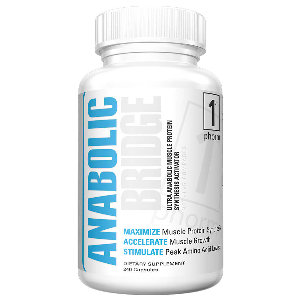 Anabolic Bridge